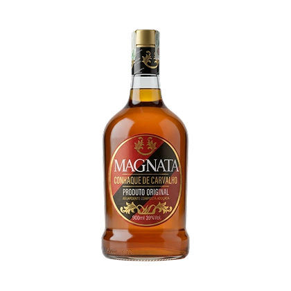 Modelo Padrão (12)